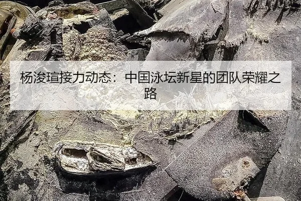 yang-jun-xuan-jie-li-dong-tai-zhong-guo-yong-tan-xin-xing-de-tuan-dui-rong-yao-zhi-lu-2-482.jpg